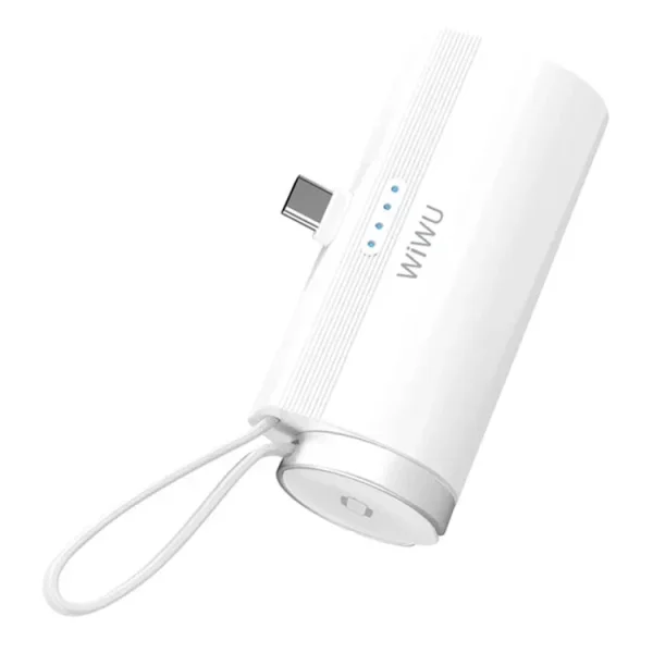 wiwu-wi-w026-2-in-1-capsule-5000mah-usb-c-power-bank-with-apple-watch-charger-1