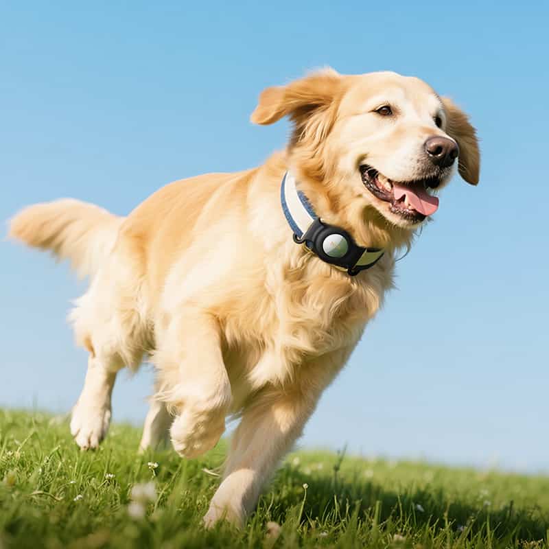 Hoco E91C Smart Wireless Pet Tracker Tag Works With Apple Find My