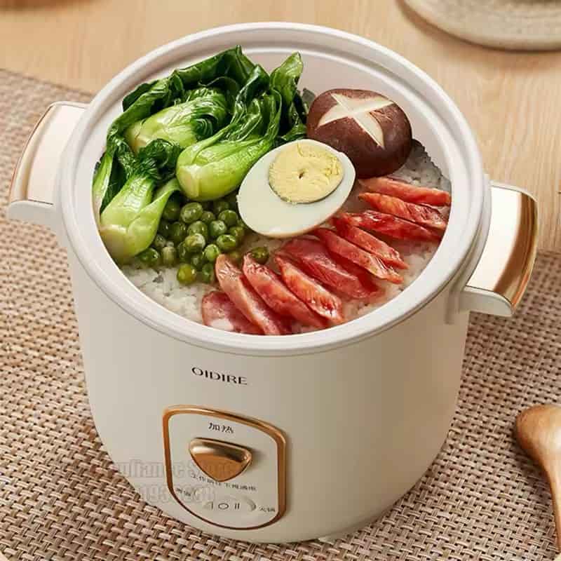 OIDIRE 1.2L Mini Home Cooking Pot Multifunctional Rice Cooker (ODI-DFB9)